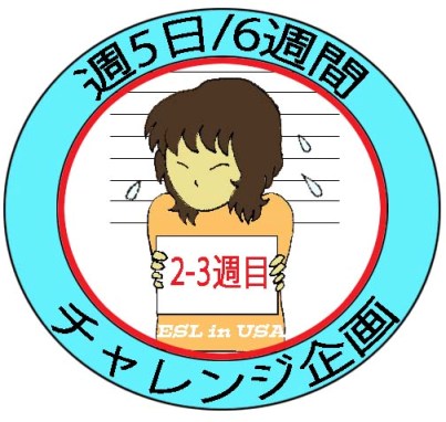 週5日/ 6週間のうちの「2−3週目」と示すイラスト