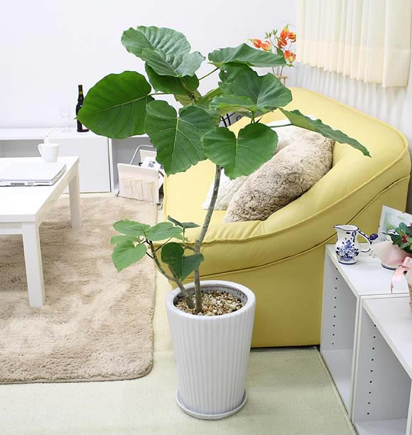f:id:be-san11:20190808205216j:plain