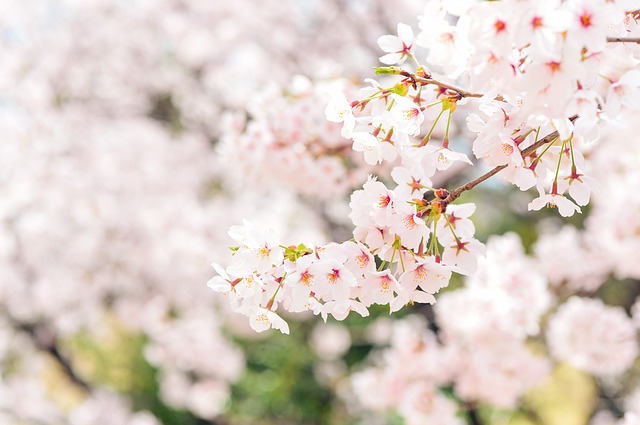 f:id:be-san11:20190814232947j:plain