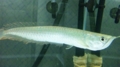 20100401211403