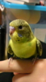 20100502205922