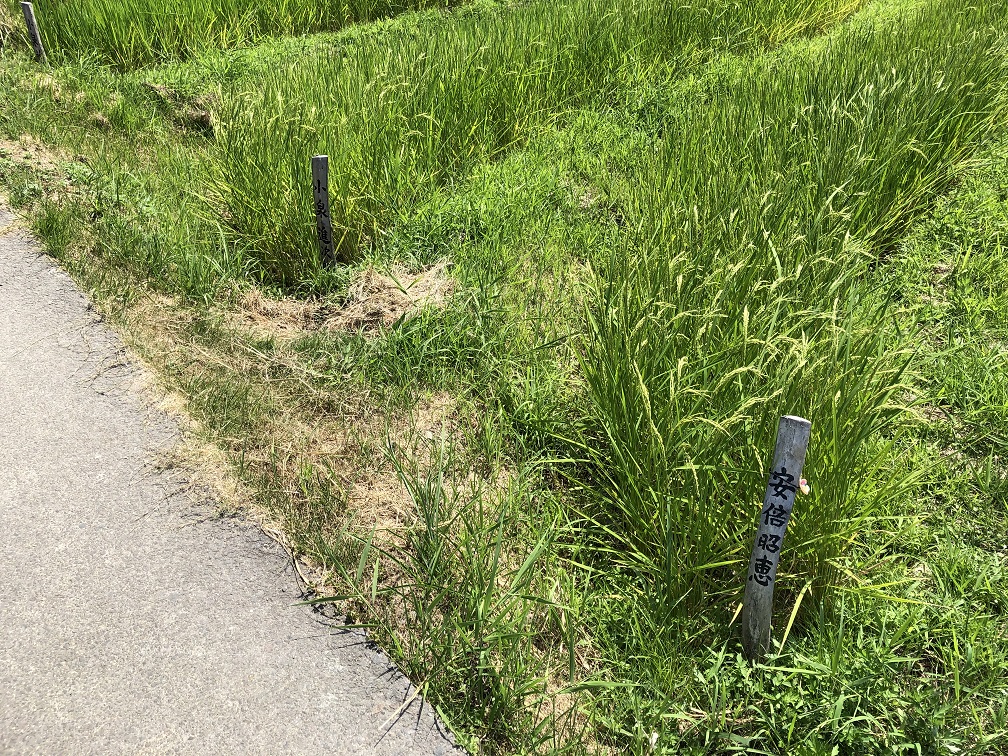 f:id:be5_a_clown:20190904231528j:plain