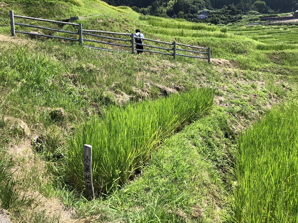 f:id:be5_a_clown:20190904231557j:plain
