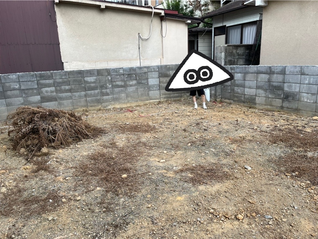 f:id:be701:20240218185042j:image f:id:be701:20240218185042j:image