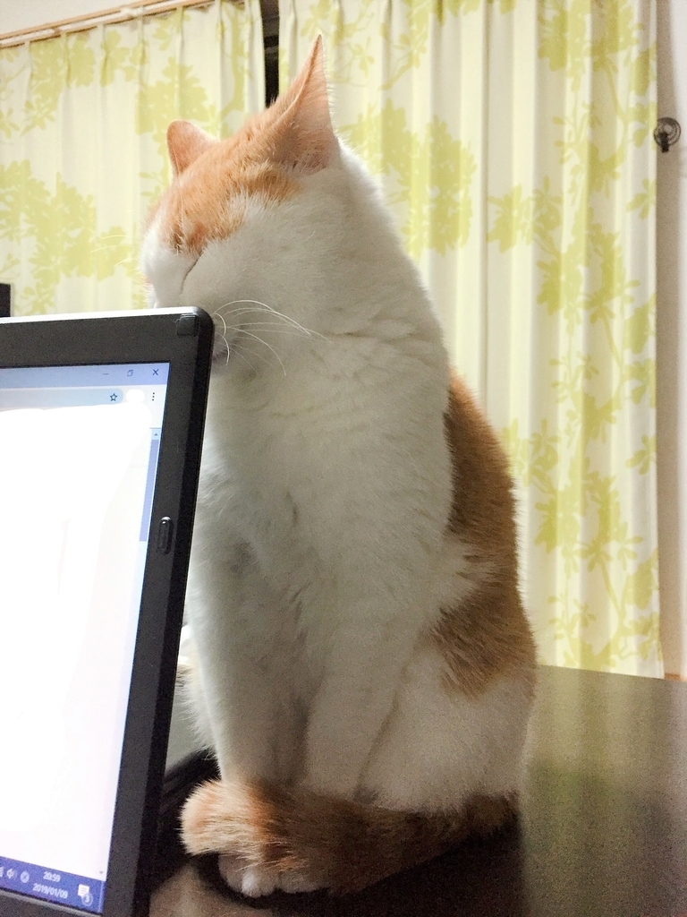 f:id:be_happier:20190131104844j:plain f:id:be_happier:20190131104844j:plain