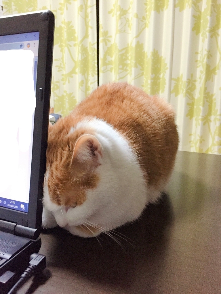 f:id:be_happier:20190131104909j:plain f:id:be_happier:20190131104909j:plain
