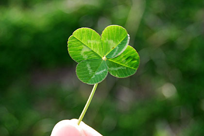 f:id:be_nori:20160825200040j:plain