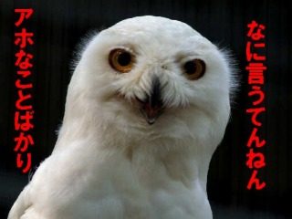 f:id:be_nori:20160828175328j:plain