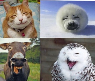 f:id:be_nori:20161108212142j:plain