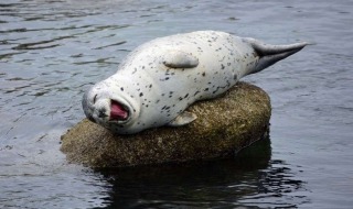 f:id:be_nori:20161129211032j:plain