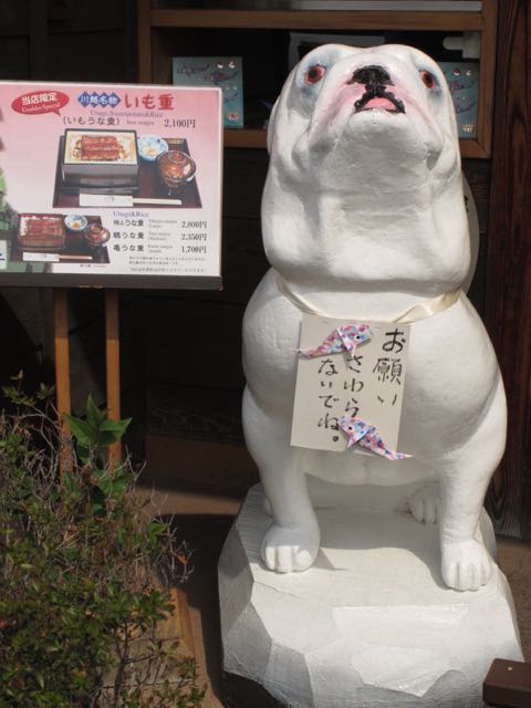 イメージ 8