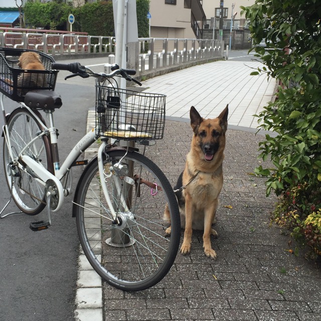 イメージ 6