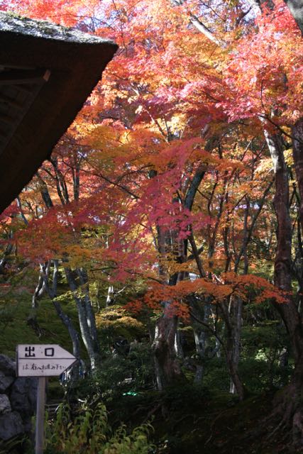 イメージ 10