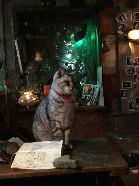 イメージ 9