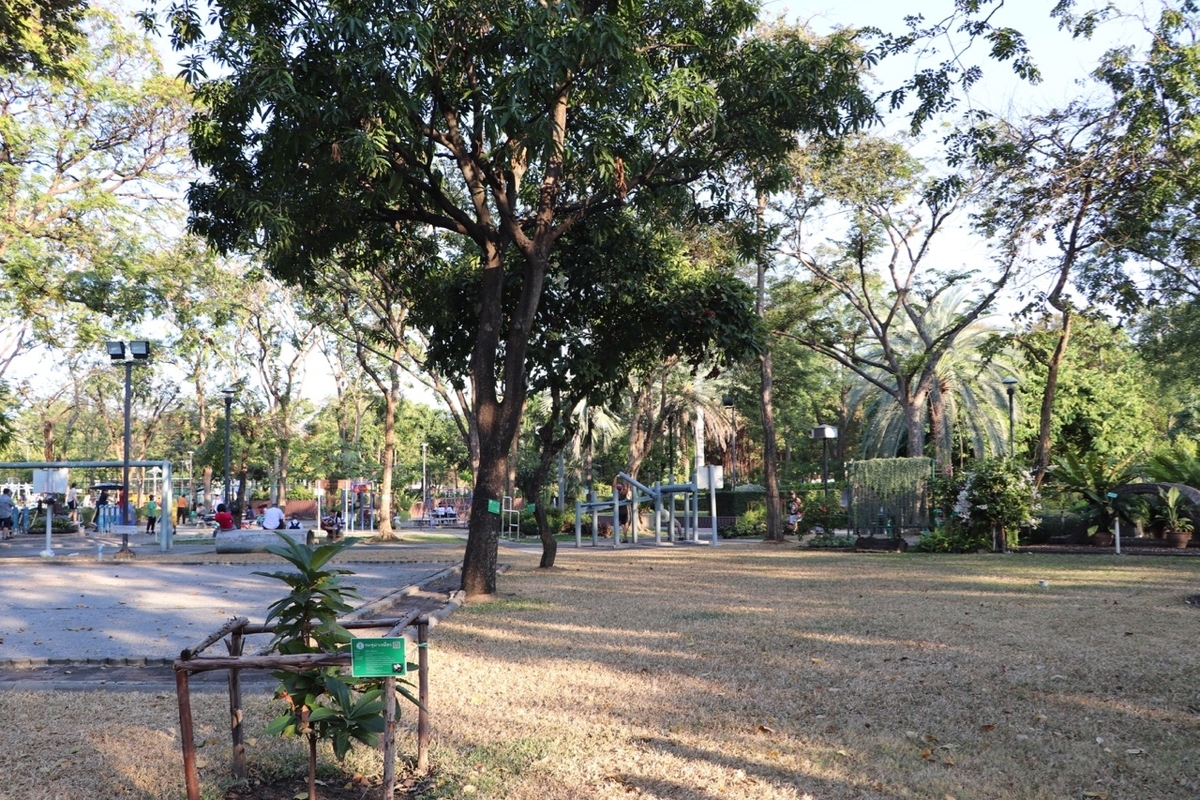 f:id:beabea-journey:20200120225856j:plain f:id:beabea-journey:20200120225856j:plain
