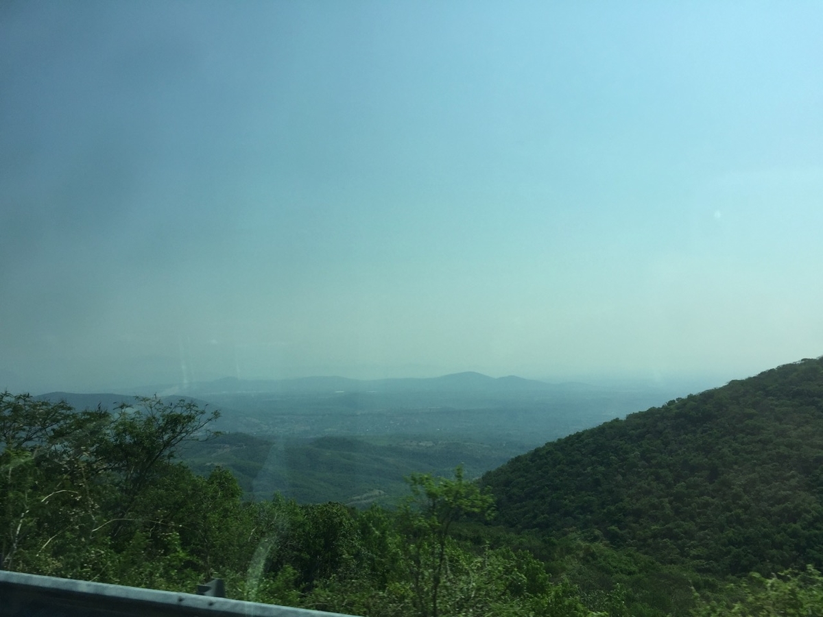 f:id:beabea-journey:20200708113716j:plain
