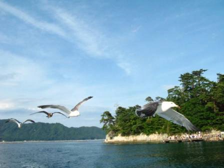 f:id:beabea-journey:20200814092846j:plain
