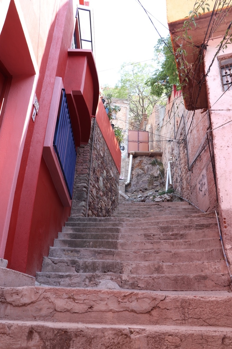 f:id:beabea-journey:20201103112531j:plain f:id:beabea-journey:20201103112531j:plain