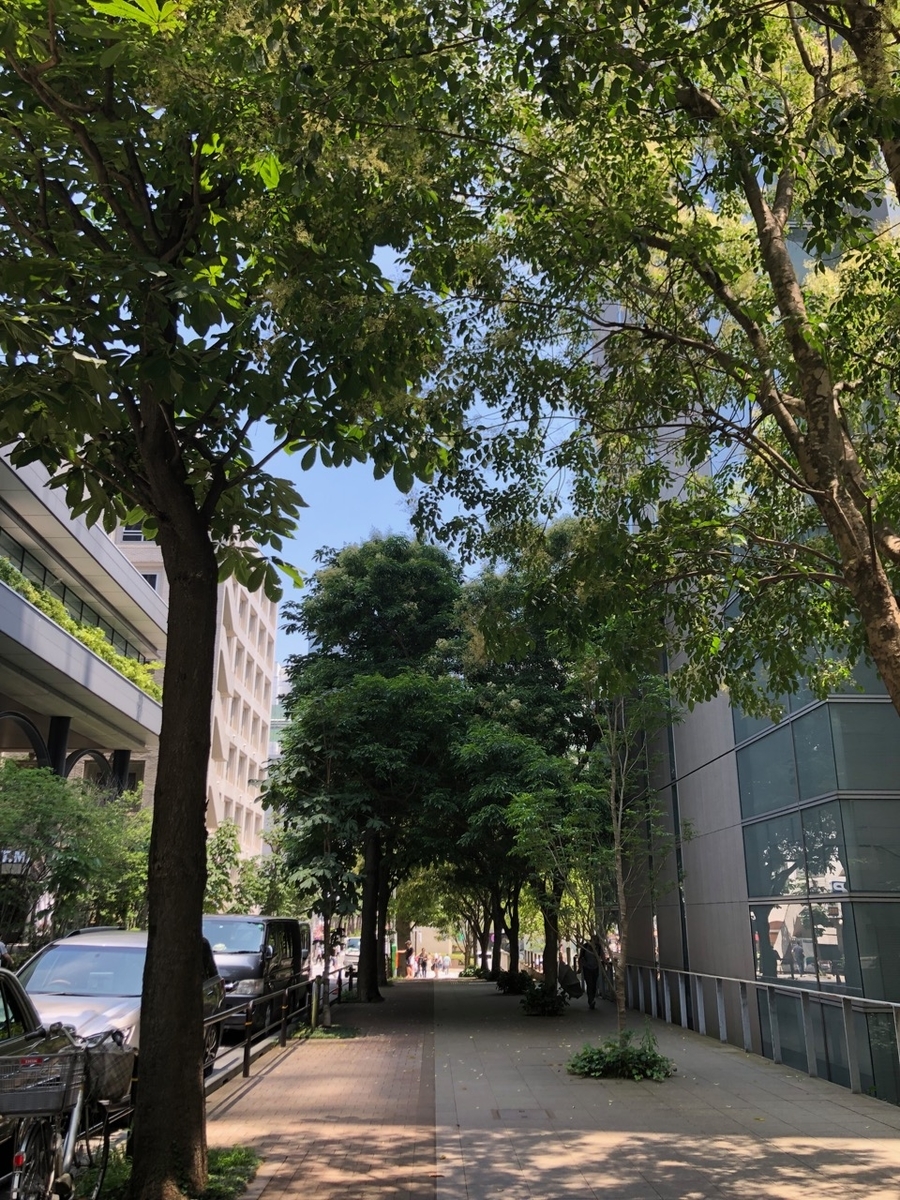 f:id:beabea-journey:20210715235218j:plain