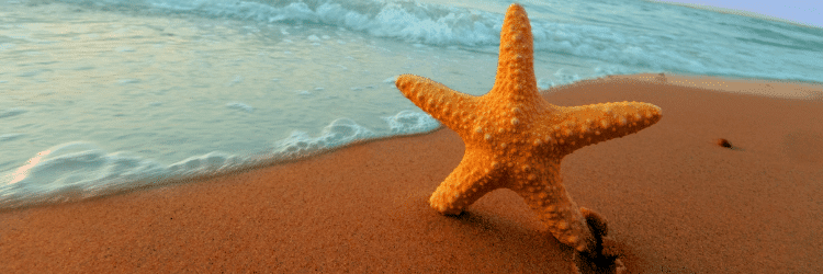 f:id:beaber:20211121070809p:plain