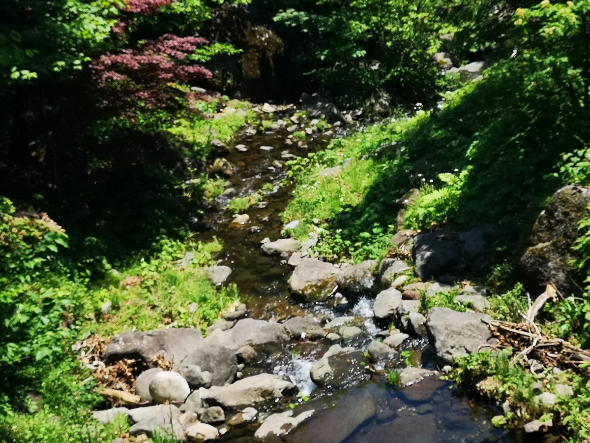 f:id:beach28:20190529101431j:plain f:id:beach28:20190529101431j:plain