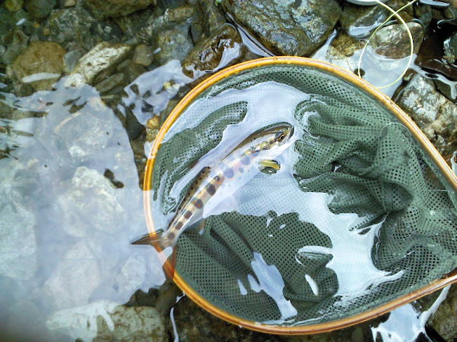 f:id:beadriver:20120605110231j:image:w360