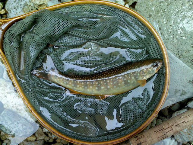 f:id:beadriver:20120613124439j:image:w300