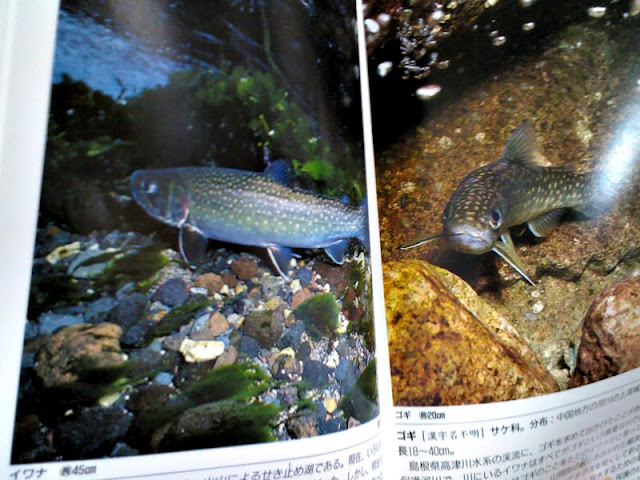 f:id:beadriver:20120730105657j:image:w280