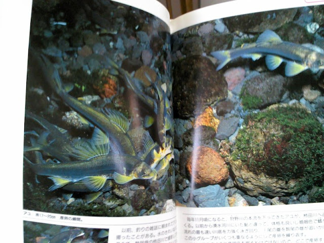 f:id:beadriver:20120730105659j:image:w280