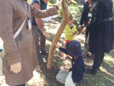 f:id:bean:20141221213916j:image:w360