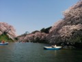 お堀ならではの景観