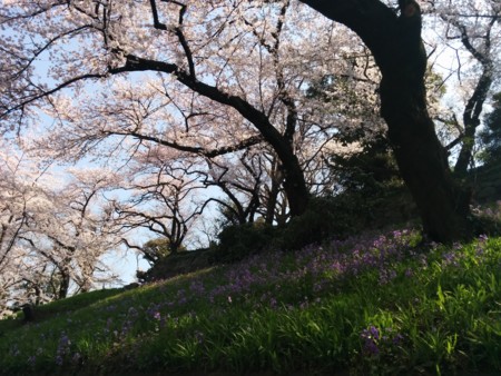 f:id:bean:20150330105416j:image:w360