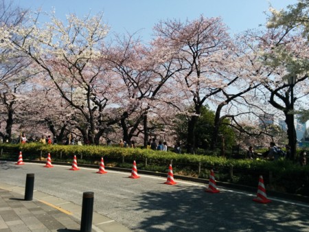 f:id:bean:20150330111836j:image:w360