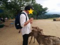 鹿せんべいをやる夫