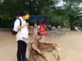 よってくる鹿を遠巻きに見るKOT