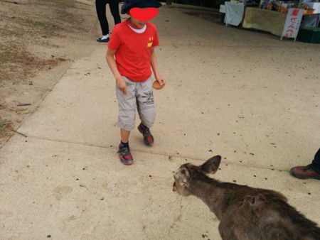 f:id:bean:20150503131750j:image:w360 f:id:bean:20150503131750j:image:w360