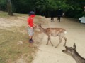 無事任務完了