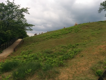 f:id:bean:20150503132604j:image:w360 f:id:bean:20150503132604j:image:w360