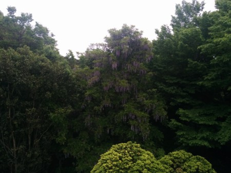 f:id:bean:20150503134005j:image:w360 f:id:bean:20150503134005j:image:w360