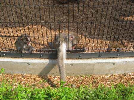 f:id:bean:20150720143456j:image:w640 f:id:bean:20150720143456j:image:w640