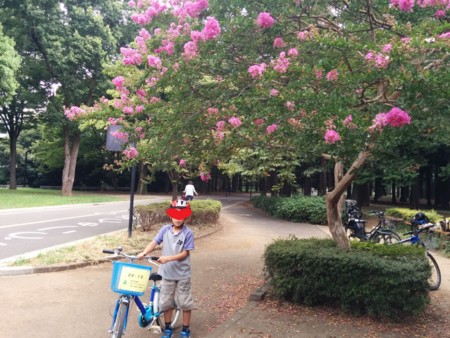 f:id:bean:20150809101231j:image:w360