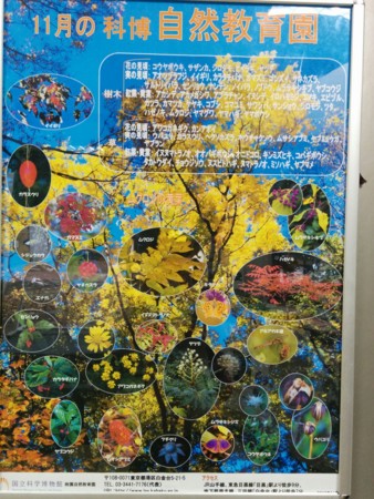 f:id:bean:20151122135650j:image:w360