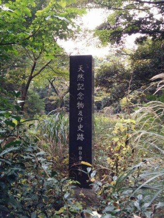 f:id:bean:20151122140904j:image:w360