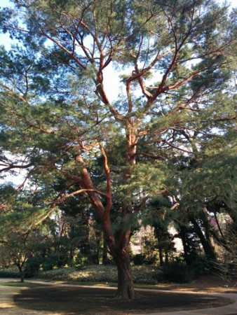 f:id:bean:20160321155124j:image:w360