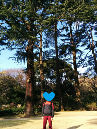f:id:bean:20160324163813p:image:w360