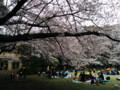 前田侯爵邸（駒場公園）