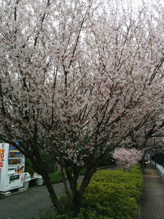 f:id:bean:20160405181020p:image:w360 f:id:bean:20160405181020p:image:w360
