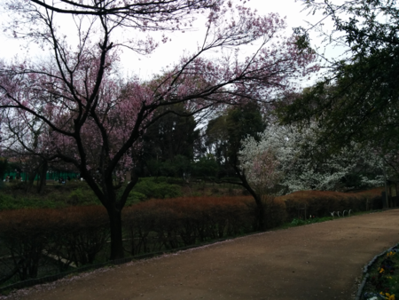 f:id:bean:20160405181103p:image:w360 f:id:bean:20160405181103p:image:w360