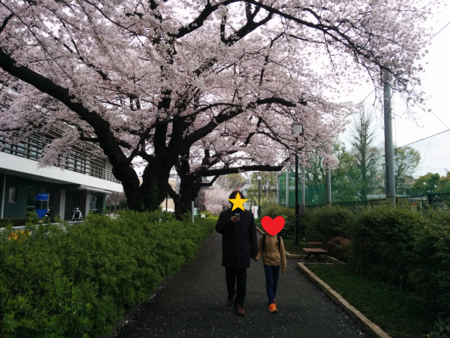 f:id:bean:20160405182932p:image:w640 f:id:bean:20160405182932p:image:w640