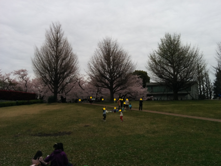 f:id:bean:20160410175313p:image:w640